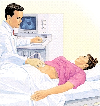 Hasi ultrahang diagnosztika